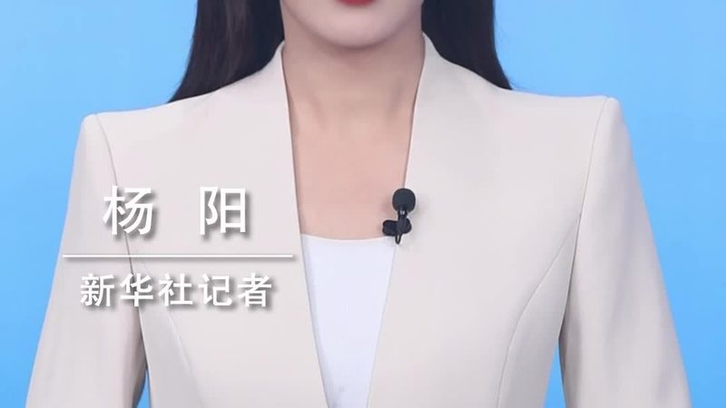企业级搜索工具：如何选择合适的解决方案**